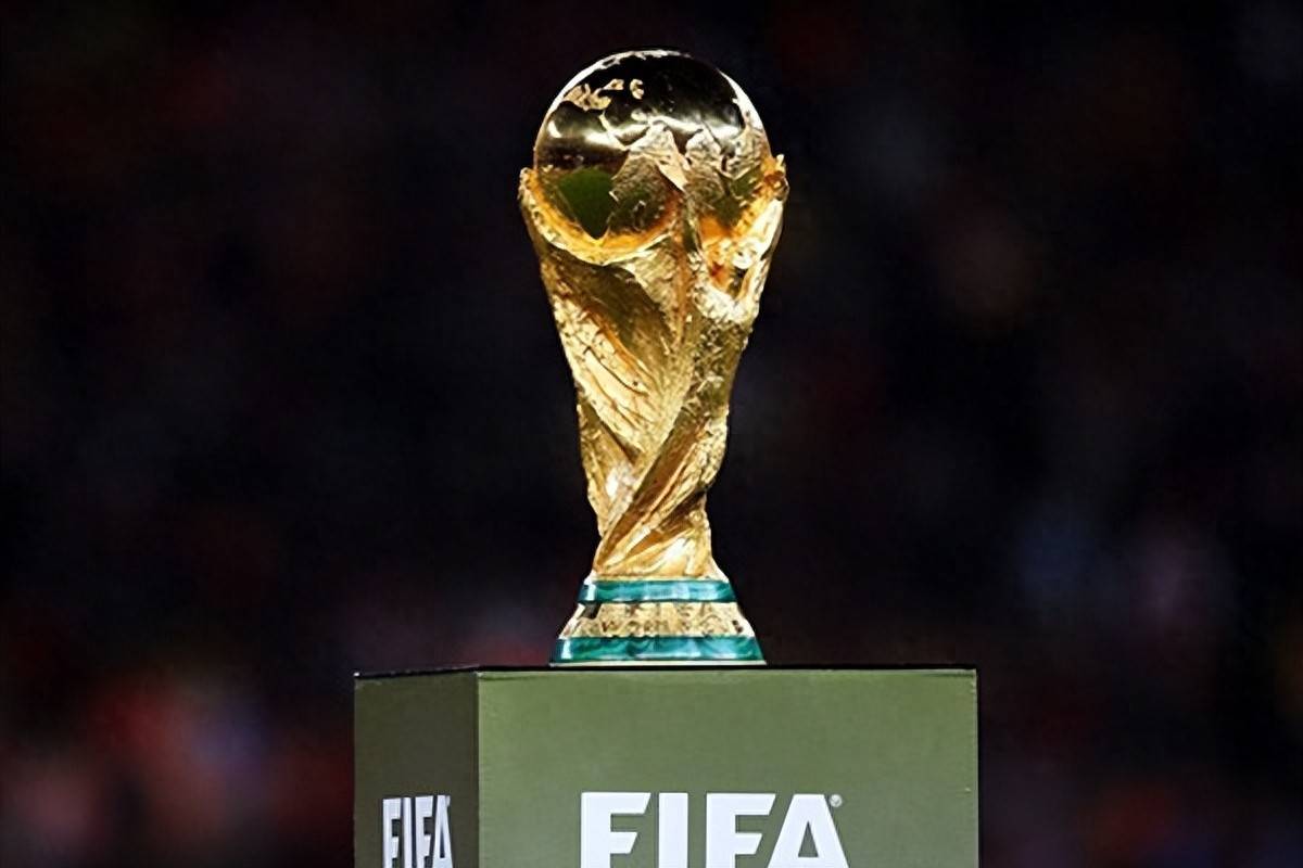 职业选手切 职业选手切