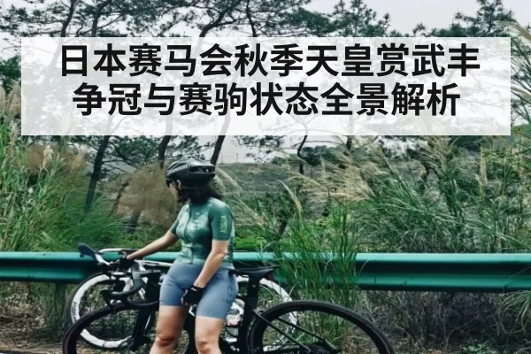 日本赛马会秋季天皇赏武丰争冠与赛驹状态全景解析